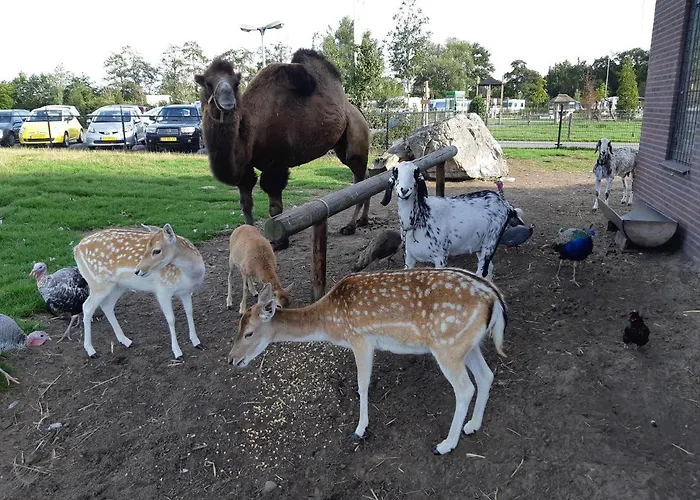 Nieuw Romalo Dom wakacyjny Voorthuizen