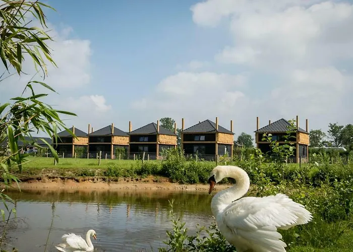 Nieuw Romalo فورتهاوزن