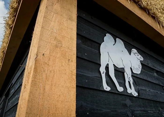 Nieuw Romalo Dom wakacyjny *