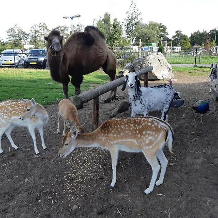Nieuw Romalo 度假居 福尔特赫伊曾